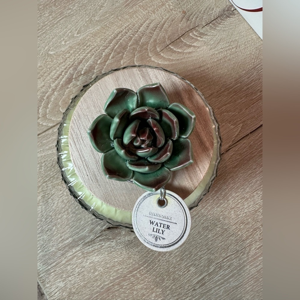 Green Succulent Candle by